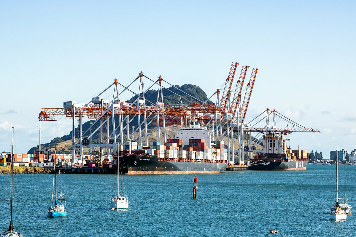 argo ships docked into Tauranga Harbour Port waiting for the adjacent container cranes to load. Mount Maunganui in the background.